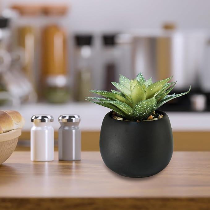 Winlyn Set of 3 Artificial Succulents Plants in Black Cement Planters Faux - Image 8