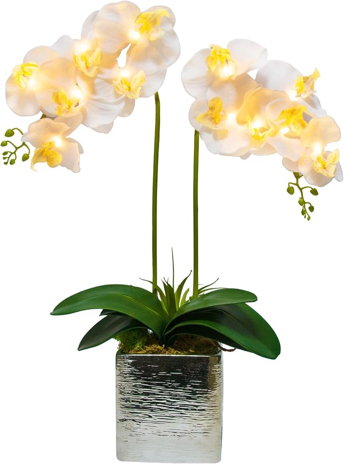 HOMESEASONS Orchid Lamp-LED Lighted Orchid Arrangements, Pre Lit Artificial by HOMESEASONS