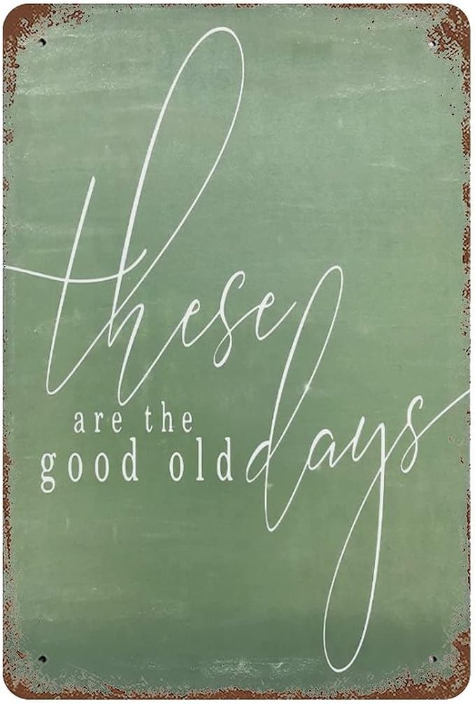 These Are The Good Old Days Metal Wall Art by Unknown