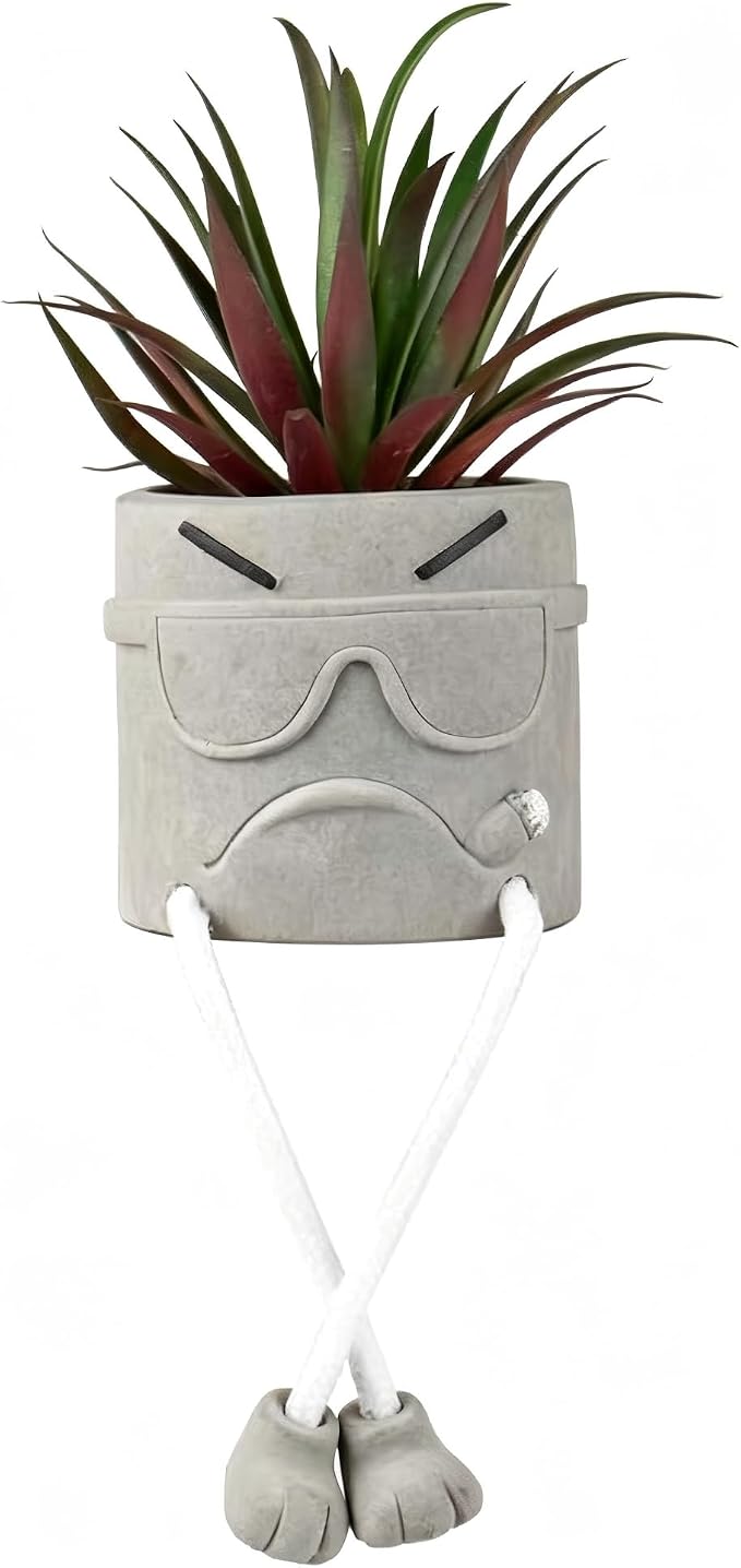 Zerzsy Artificial Succulents Plants in Cement Pots by Zerzsy