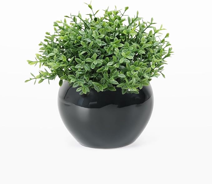 Velener Fake Sage Plants for Shelf Decor, Small Artificial Succulents Grass by Velener