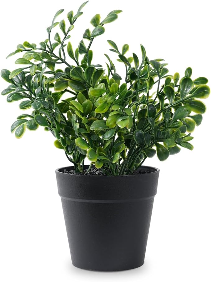 Fake Eucalyptus Potted Artificial Plant – Small Faux Eucalyptus by Unknown
