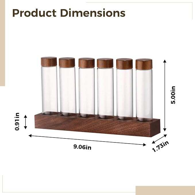 Bean Cellar With 6-Hole Walnut Base - Image 3