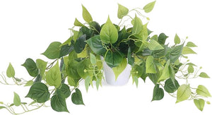 Tiita 1 Pack Fake Plants Artificial Scindapsus Aureus in Pots, Realistic Fake by TiitaHome