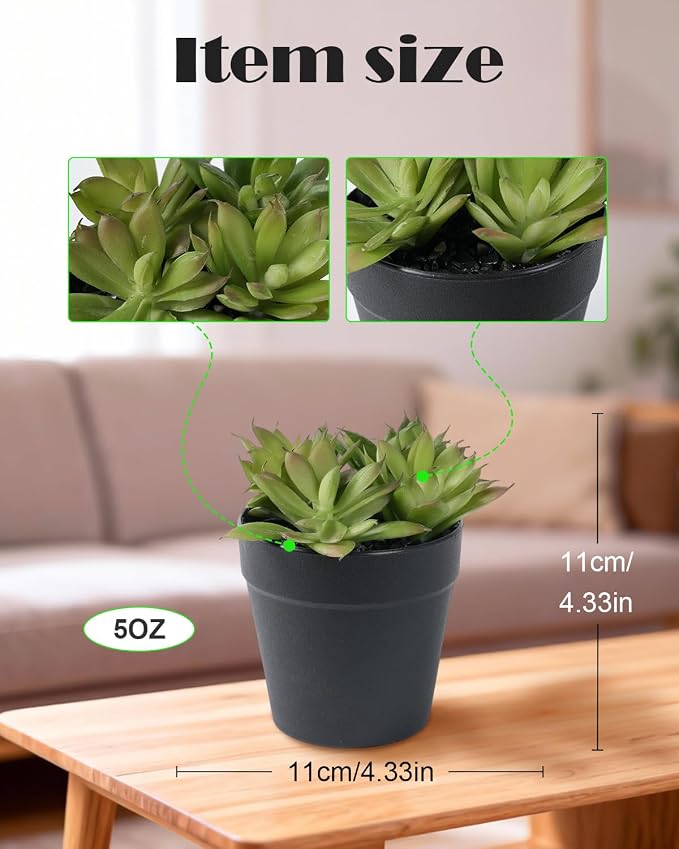 Faux Assorted Succulents - Image 2