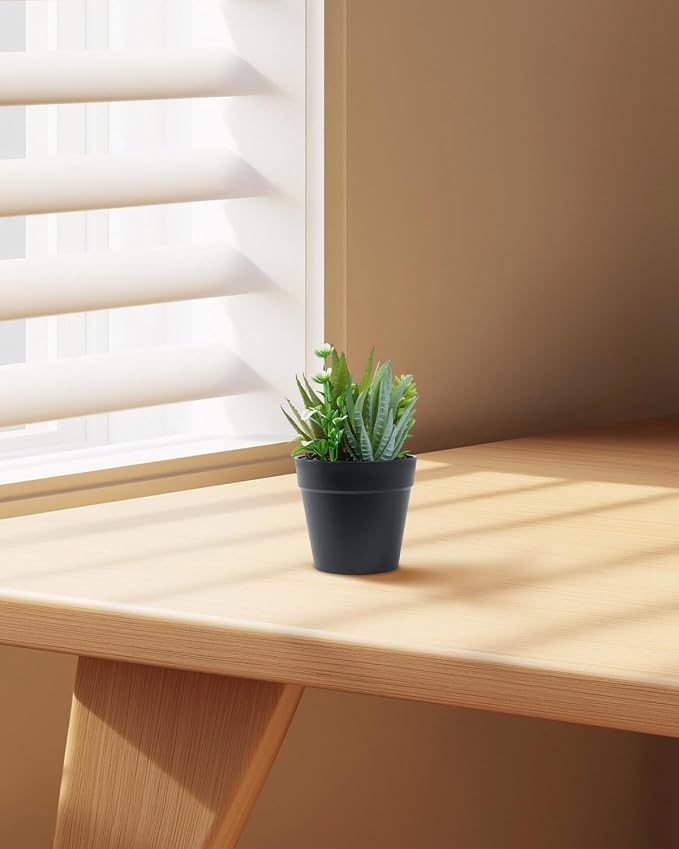 Faux Assorted Succulents - Image 4