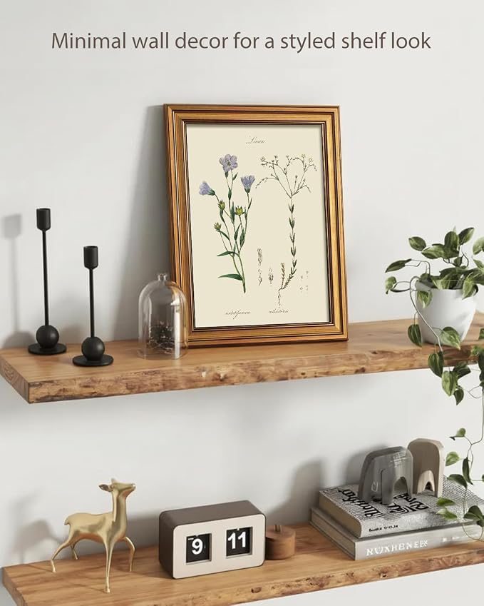 ARPEOTCY Vintage Botanical Wall Art Framed, Antique Floral Illustration - Image 4
