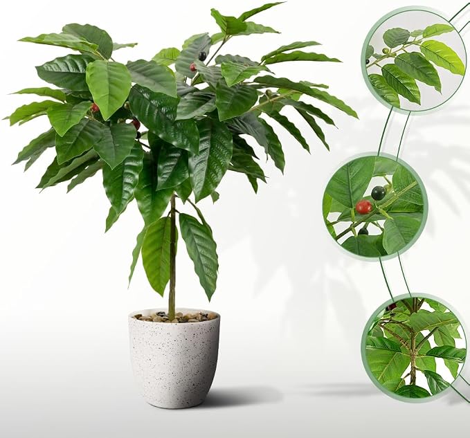 CAFEMASY Artificial Coffee Bean Plant Tree - Image 2