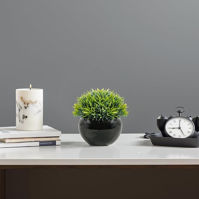 Velener Small Artificial Succulents Grass Desk Plant - Image 9