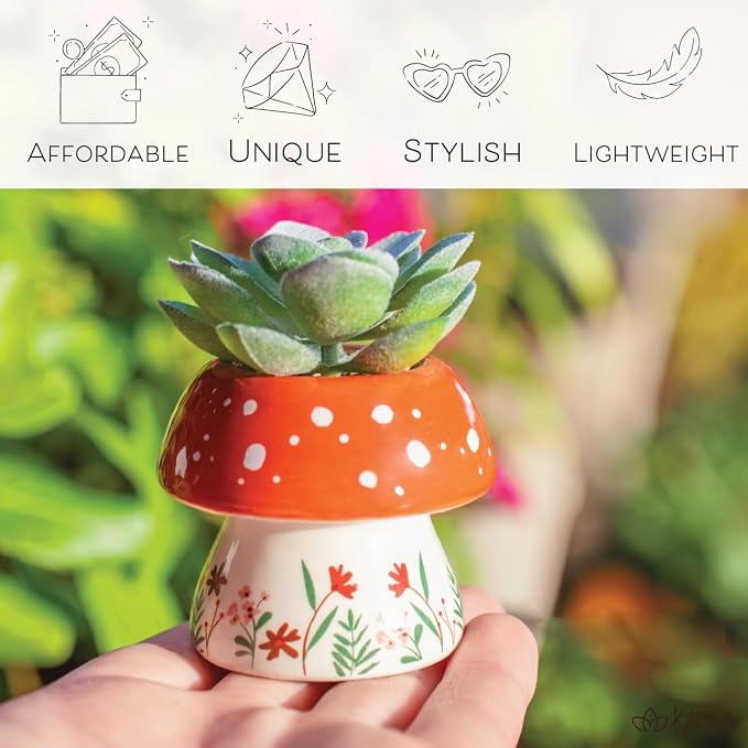 Karma, Shaped Artificial Succulents in Ceramic Pot, Faux Mini Succulent Plant - Image 5