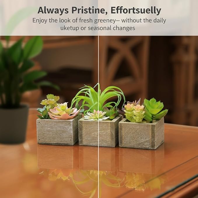 Artificial Succulents Indoor, Tabletop Accent - Image 8