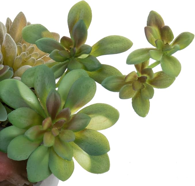 MyGift Assorted Indoor Fake Plants Artificial Succulent Arrangement in Round - Image 6