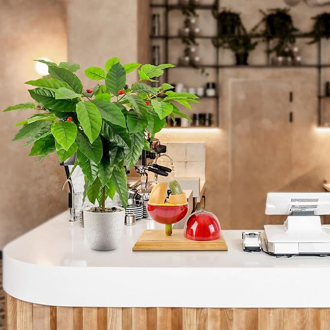 CAFEMASY Artificial Coffee Bean Plant Tree - Image 4