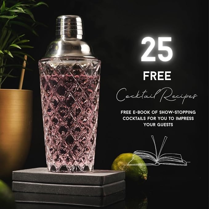 Nikita Cocktail Shaker, 5-Piece Martini Shaker & Bartender Kit - Image 3