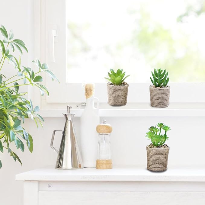3 Pack Mini Artificial Succulent Plants – Faux Greenery in Vintage Woven Jute - Image 5