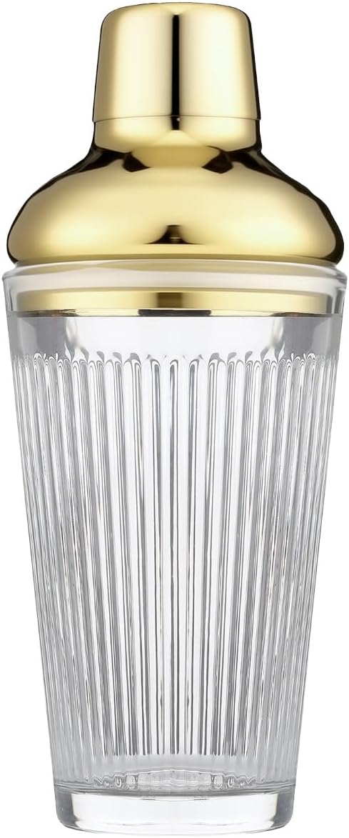 Glass Cocktail Shaker, 17oz Leak-Proof Martini Shaker by FayuuGem