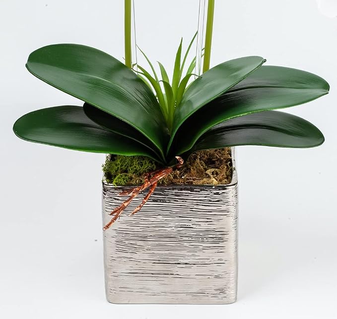 HOMESEASONS Orchid Lamp-LED Lighted Orchid Arrangements, Pre Lit Artificial - Image 6