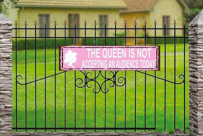 The Queen Is Not Accepting An Audience Today Sign, Rustic Metal Wall Art - Image 3