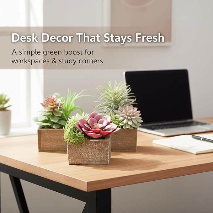 Succulent Plants Artificial, 3 Pack Small Fake Plants in Wood Pot - Image 5