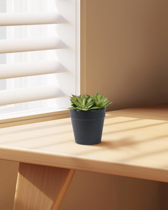 Faux Assorted Succulents - Image 3
