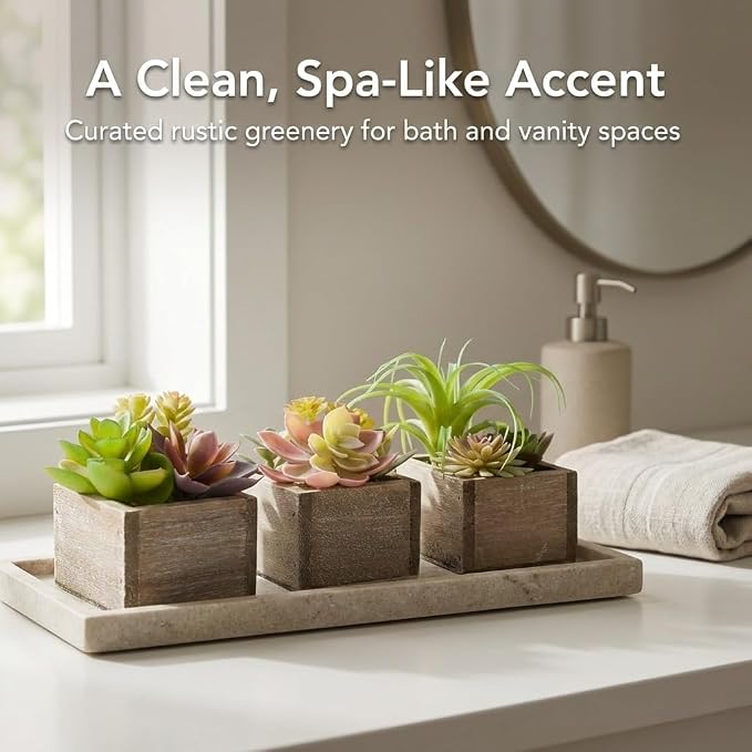 Artificial Succulents Indoor, Tabletop Accent - Image 2