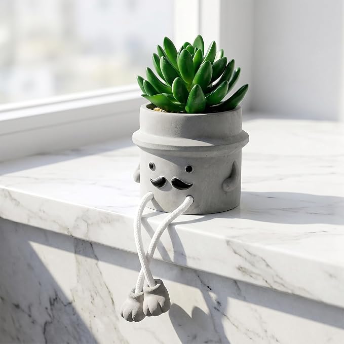 Fake Plant with Gray Flower Pot Artificial Succulents Plant - Image 7