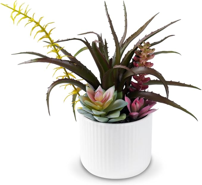 Faux Assorted Succulents by Unknown