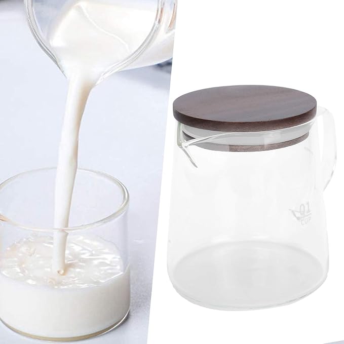 Small Glass Carafe, 16.9oz Glass Coffee Server - Image 8
