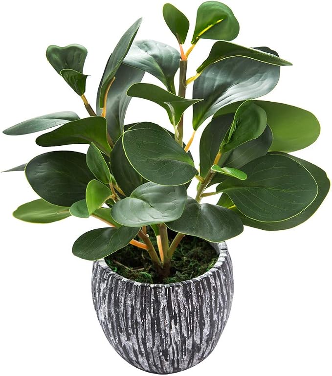 AlphaAcc Artificial Plants Real Looking and Touching Fake Plant Evergreen by AlphaAcc
