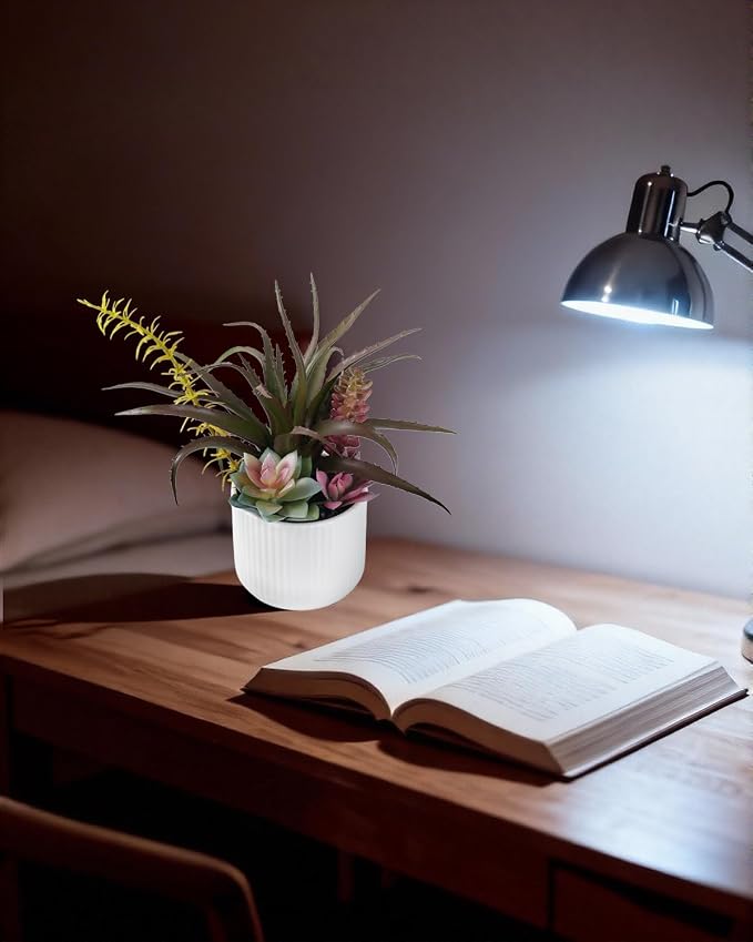 Faux Assorted Succulents - Image 6