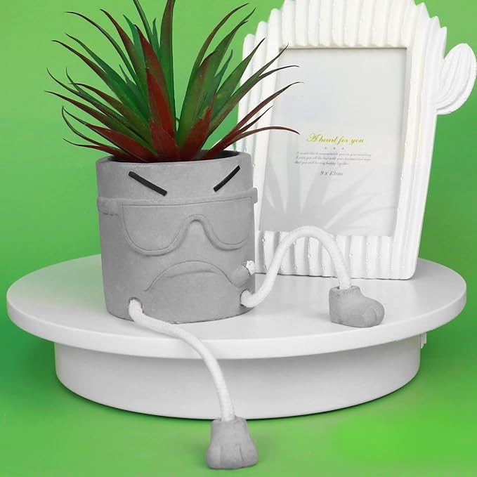 Zerzsy Artificial Succulents Plants in Cement Pots - Image 2