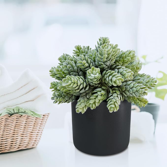 Winlyn Set of 3 Small Artificial Potted Succulent Plants Faux Aloe Hops String - Image 8