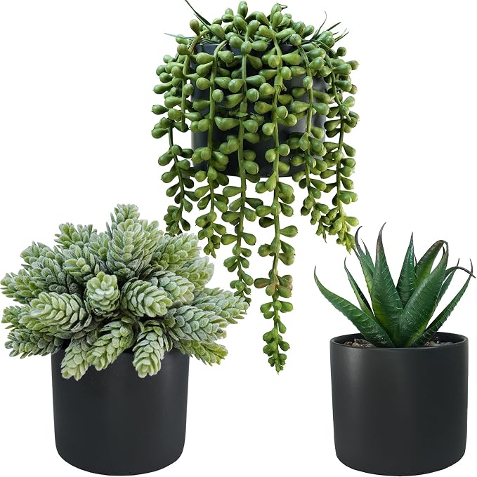Winlyn Set of 3 Small Artificial Potted Succulent Plants Faux Aloe Hops String by Winlyn