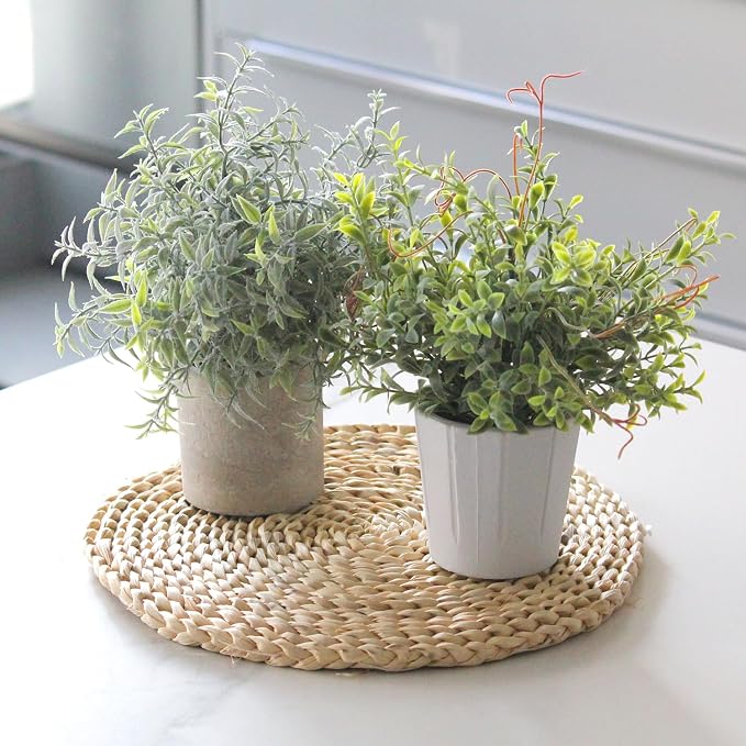 3 Pack Small Fake Plants in White Pulp Pot | Artificial Plants Indoor, - Image 6