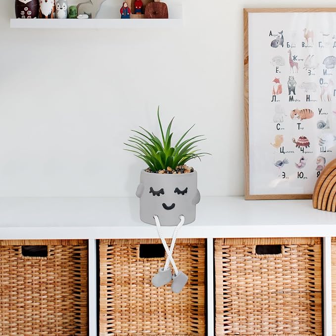 Cute Artificial Succulents Plants in Cement Pots - Image 4