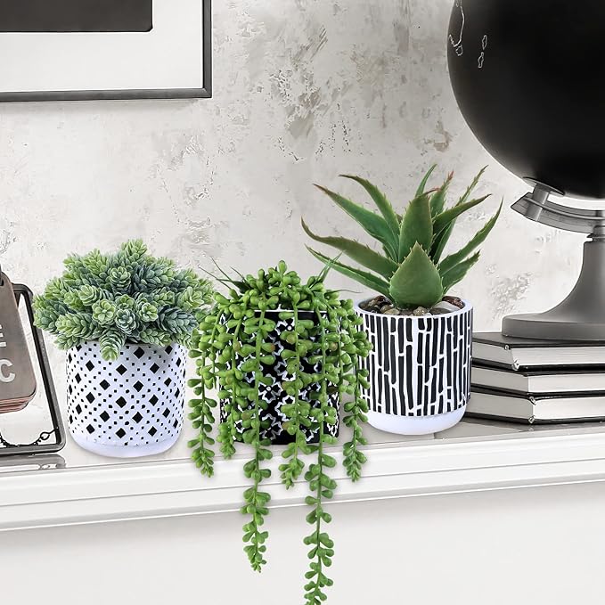 Winlyn 3 Pcs Small Potted Succulents Plants Artificial Aloe Hops String of - Image 6