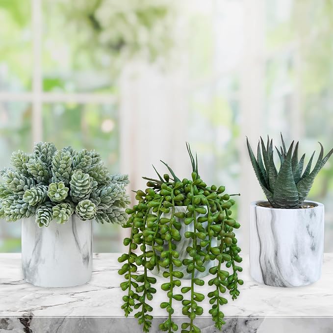 Winlyn Set of 3 Small Artificial Succulent Potted Plants Fake Aloe Hops String - Image 8