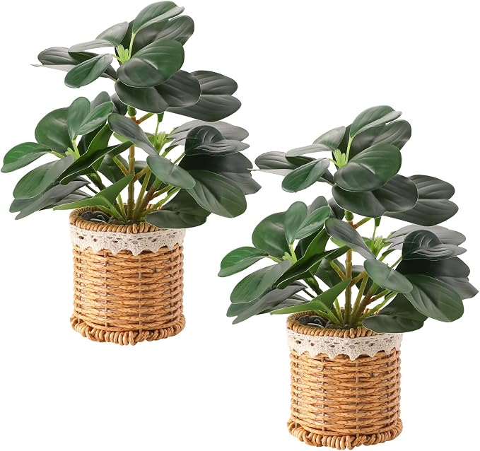 Nubry 2 Pack Fake Plants Artificial Potted Plants by Nubry