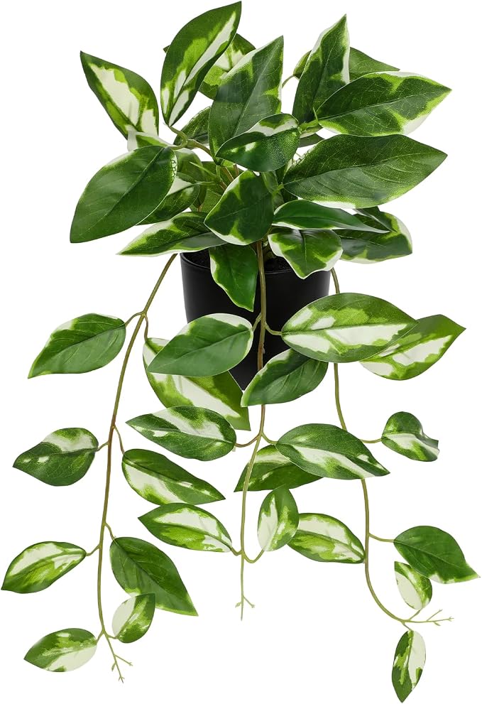 Briful Small Fake Plants Indoor Greenery Realistic Faux Trailing Plant by Briful