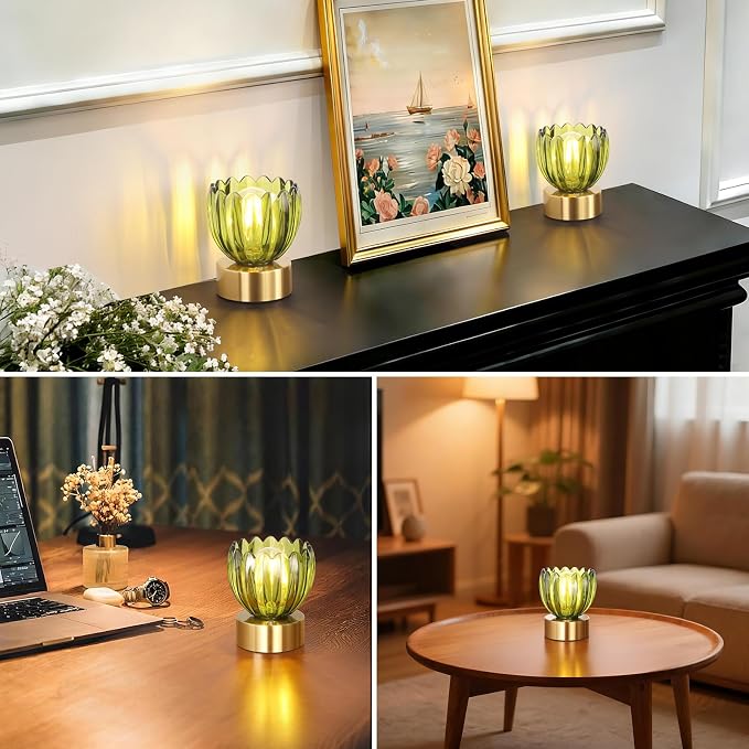 Shenmoyl Cordless Small Table Lamp - Image 5