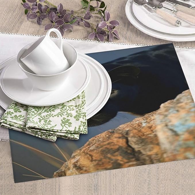 Absorbent Dish Drying Mats 16X18 Panther Rock Light Blue Home And Kitchen Dish by Unknown