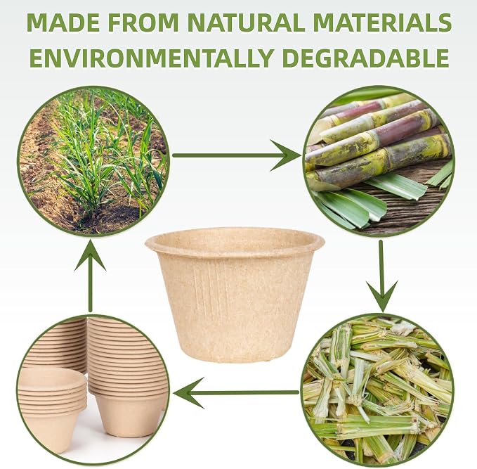 Gere Disposable Testing Bowls, 100 Pack, 4 oz, Natural Biodegradable Bagasse - Image 5