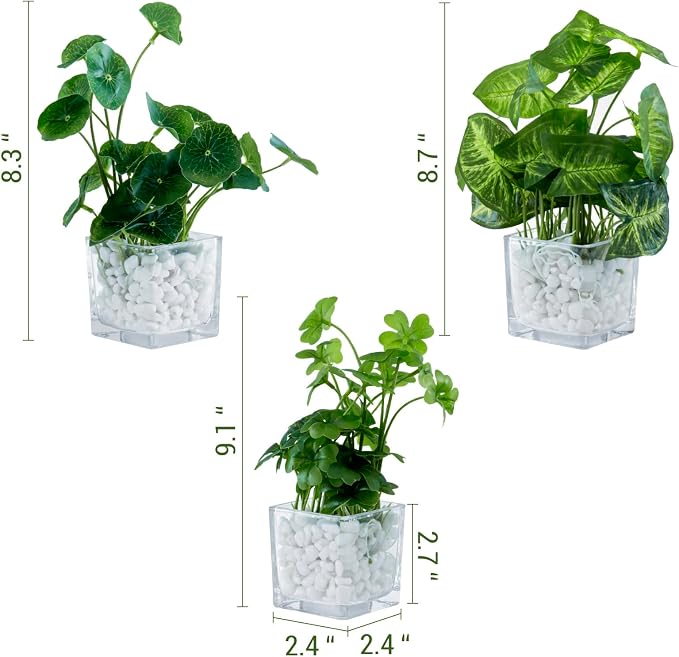 MyGift Artificial Clover and Taro Plants in Clear Glass Vase - Image 6