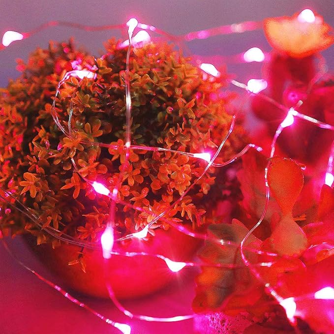 Ariceleo Led Fairy Lights Battery Operated, 2 Packs Mini Battery Powered Copper - Image 5