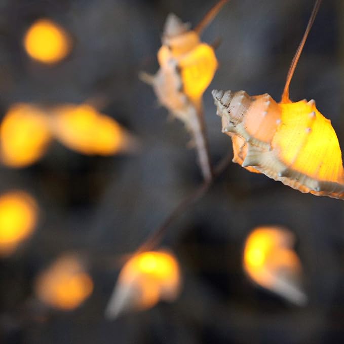 WSgift LED String Lights, Ocean Conch Beach Themed Battery Powered 9.18 ft 10 - Image 5