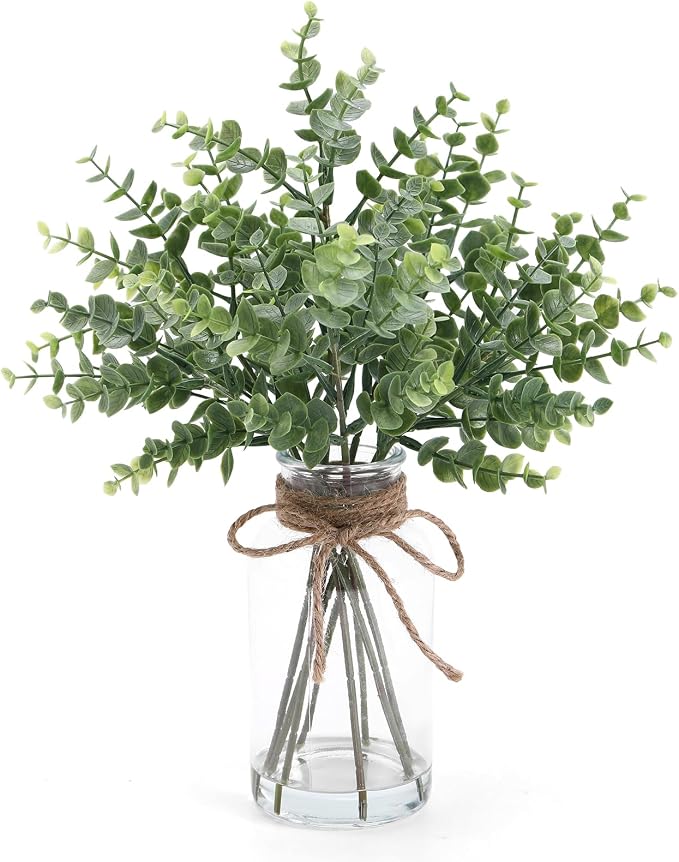 Coferset Eucalyptus Stems in Glass Vase by Coferset