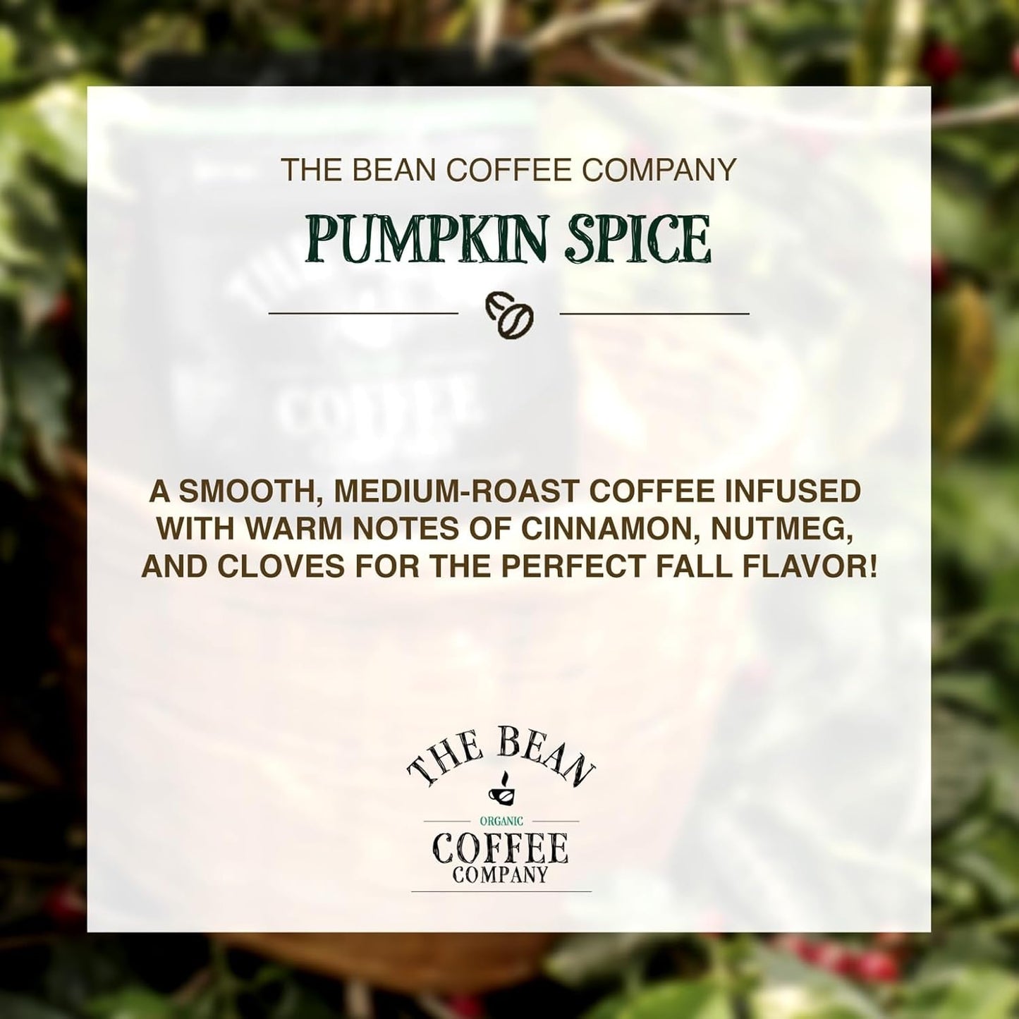 The Bean Organic Coffee Company Pumpkin Spice, Medium Roast, Whole Bean Coffee, 16-Ounce Bags (Pack of 2)