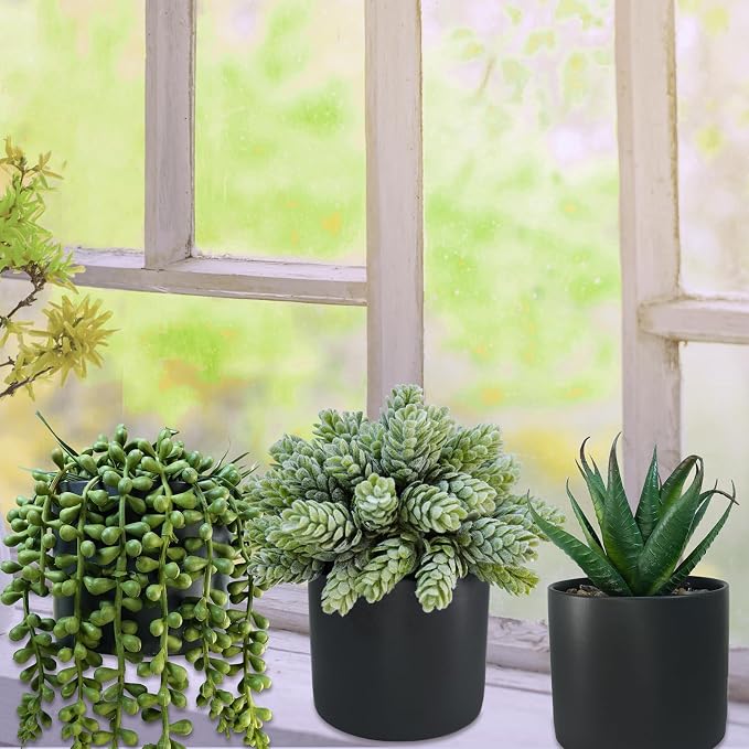 Winlyn Set of 3 Small Artificial Potted Succulent Plants Faux Aloe Hops String - Image 3