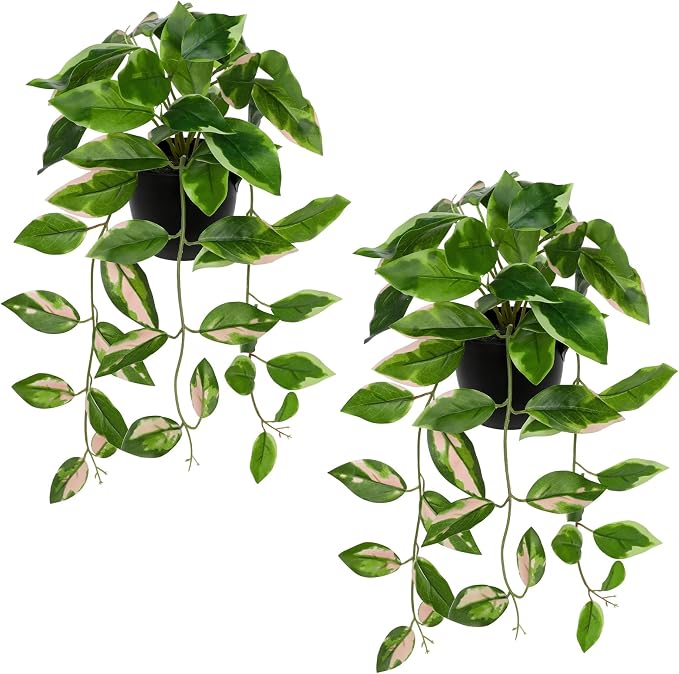 Briful Small Fake Plants Indoor Realistic Faux Trailing Plant Artificial Potted by Briful