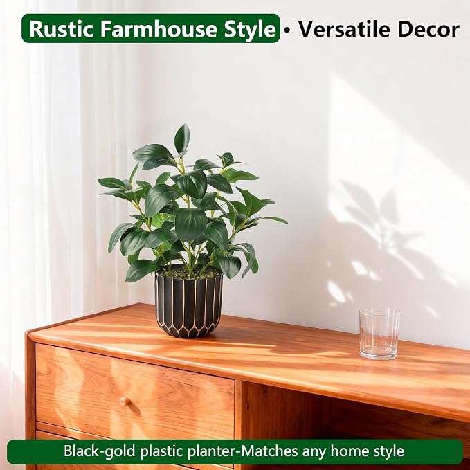 florisso Artificial Succulents - Image 9